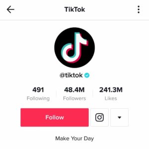 Example of a verified badge on TikTok.